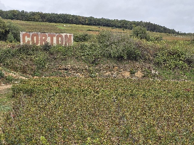 Corton